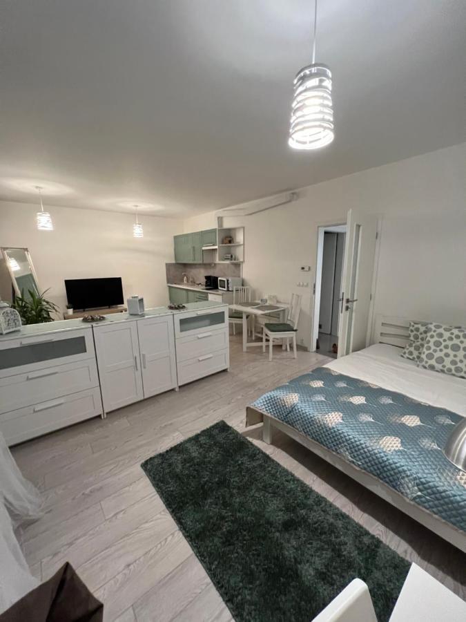 Free Parking In Garage Karolina Plazza, New Cosy Studio With All You Need Praha Eksteriør bilde